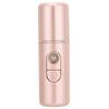Nano Mist Sprayer Deep Hydrating Portable USB Face Humidifier SkinCare Beauty Tool(Rose Gold )