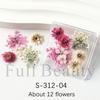 Nail Art Dried Flowers Japanese Mixed Filled With Star Hydrangea Small Wrinkled Chrysanthemum Box Decoration Nail Dried Flowers