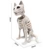 Sitting Cat Skeleton Halloween Decoration 15x24x34cm Multipurpose for Courtyard Decor Sturdy White