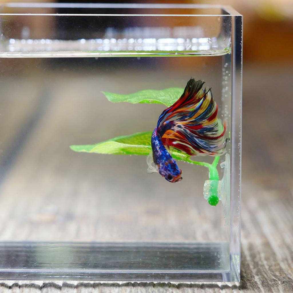 Artificial Aquarium Decor Plants Plastic Leaf for Aquarium Fish Tank Aquascape Decorative Plants for Fish Tanks Aquarium Basins