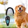 Chiens – Matériel pour entraînement et dressage de chien