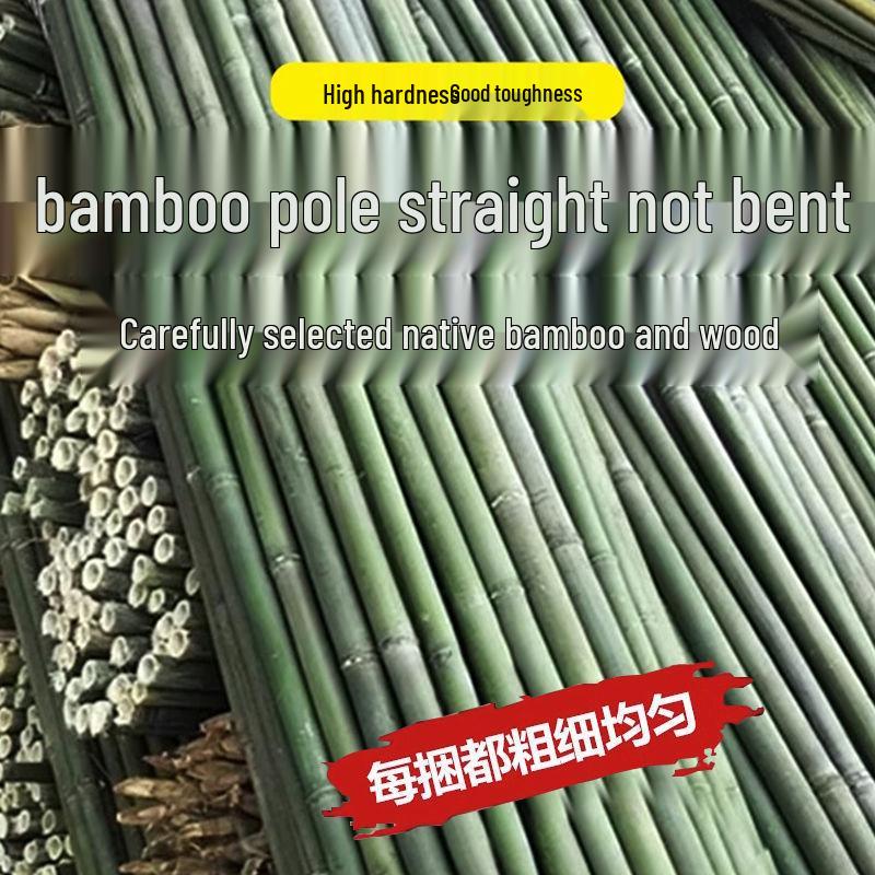 Bamboo Garden Trellis: Cucumber, Tomato, Green Bean Climbing Frame