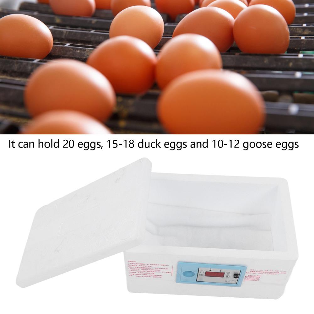 1 Set (7pcs) Multifunctional Egg Incubator Foam Waterbed Incubator Chicken Incubator Household Use