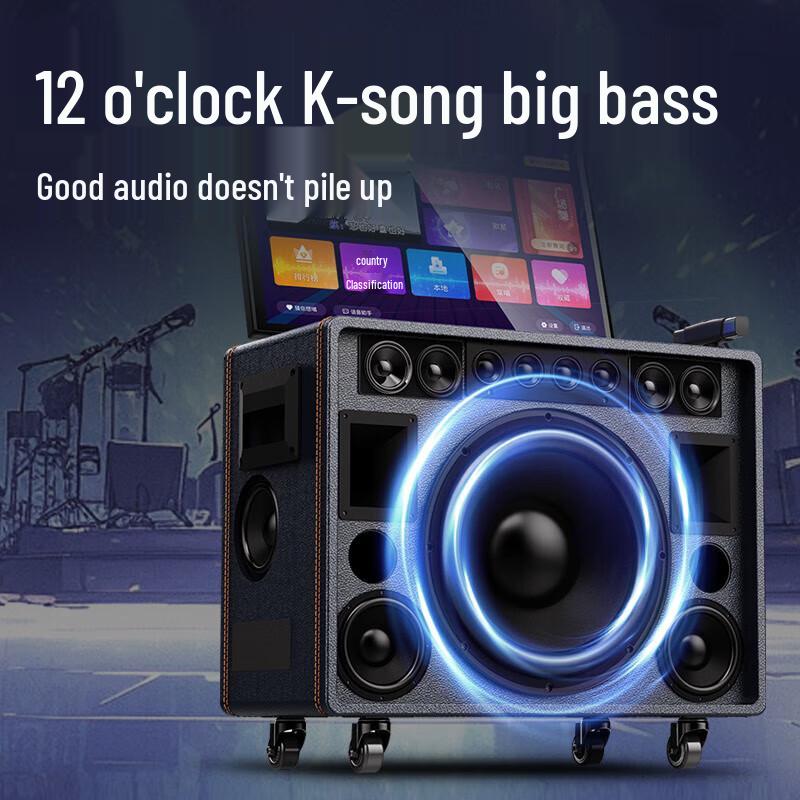 SANSUI Q129 Portable Karaoke Bluetooth Speaker with Display