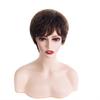 Wig European and American new women's short curly hair, middle-aged and elderly grandma gray curly hair wig cover rose net spot