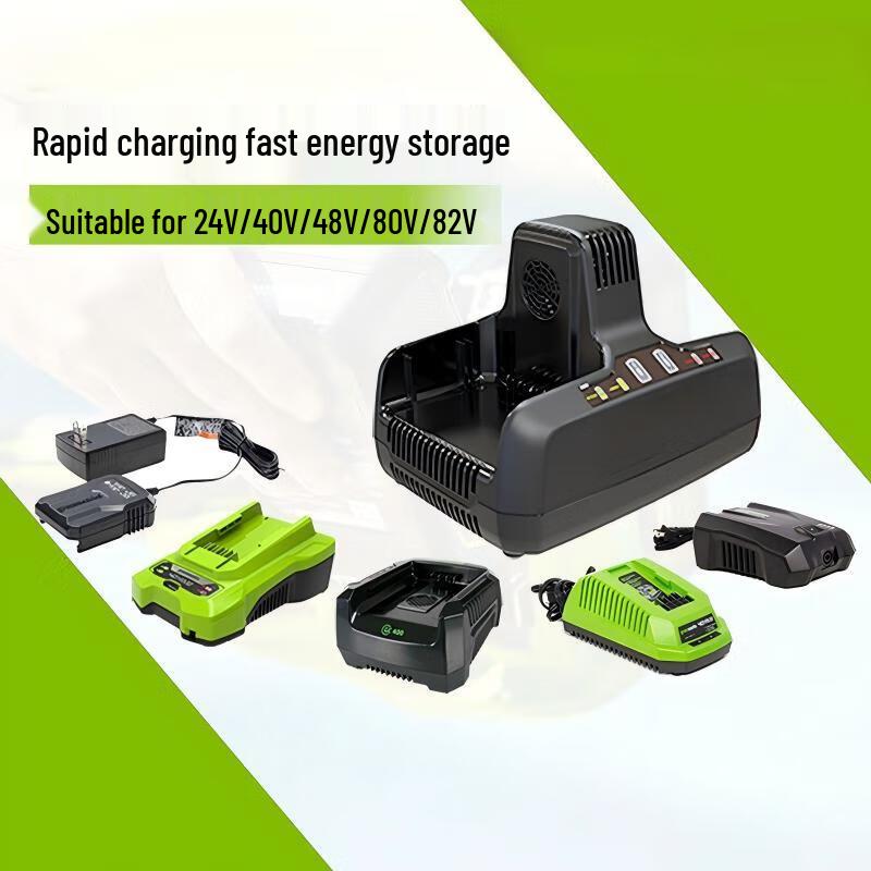 Стандартное зарядное устройство Greenworks 40V