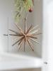 Champagne White Exploding Star Christmas Tree Ornament Hanging Decoration For Holiday Party Home Decor
