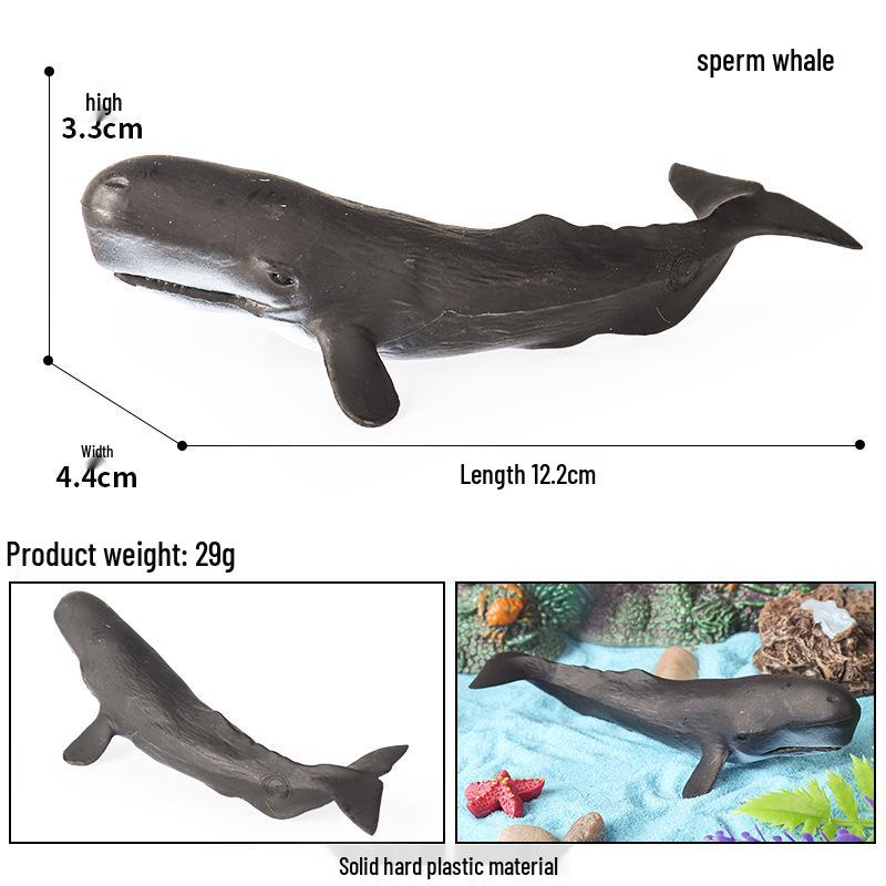 Marine Life Cognitive Toy Set: Sperm Whale, Shark, Bowhead Whale, Blue Whale
