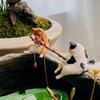 Plant Pot Cat Hanging Decoration Bonsai Easy Use Fish Tank Ornaments Cat Statue Miniature Figurines Kitten Fishing Ornament