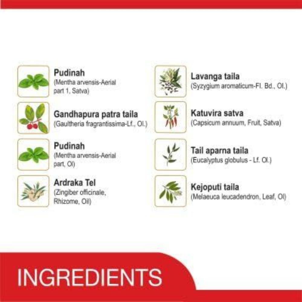 Neuer Maha Strong Schmerzsalbe - 50 ml | Geeignet für starke Kopfschmerzen, Orthopädische Schmerzen, Gelenkschmerzen | 100% Ayurvedisch | Wirkt innerhalb von 2 Minuten.