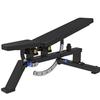 Kairui Commercial High-Low Pulley Back Trainer