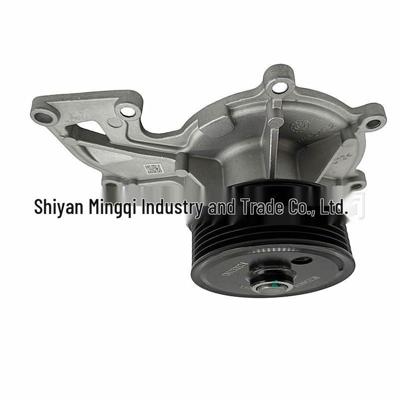 Foton Ollin Ouman Kejieyun Water Pump for Cummins 3.8 5288908