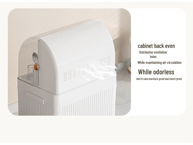 Kitchen Dish Rack with Lid: Bowl, Chopstick, and Cutlery Organizer