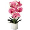 Artificial Orchid Potted Plant Realistic Design Soft Glue Flower for Home Office Event Decor White Pink Black Options