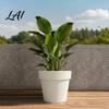 Deep Root Planters for Large Trees Round Planter with Drainage Hole 12 Inch Dia Stone-Look Flower All Weather Floral Containers Deck Pot Modern