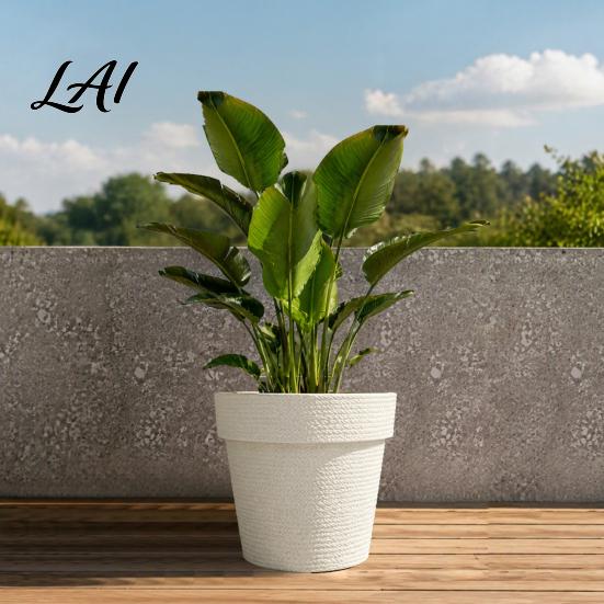 Deep Root Planters for Large Trees Round Planter with Drainage Hole 12 Inch Dia Stone-Look Flower All Weather Floral Containers Deck Pot Modern