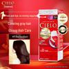 Cielo Gray Coverage Hair Color Cream