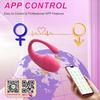APP Bluetooth Steuerung G-Punkt Vibrator Weiblicher Klitoris Stimulator Tragbare Höschen Love Egg Analer Massager Sexspielzeug für Erwachsene