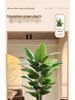 Luxurious Indoor Bionic Bird of Paradise Faux Plant