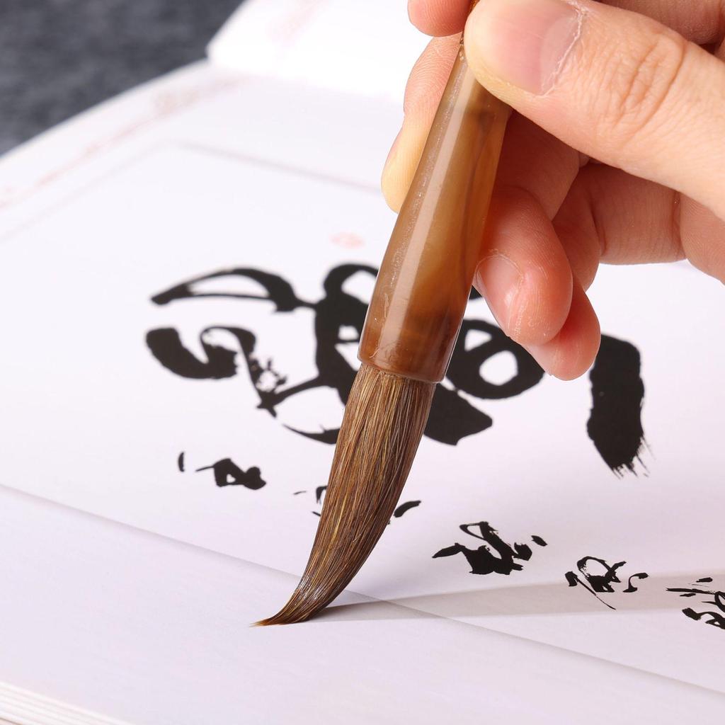 Beginner Student Brush Set - Sable & Wolf Hair for Chinese Painting and Calligraphy