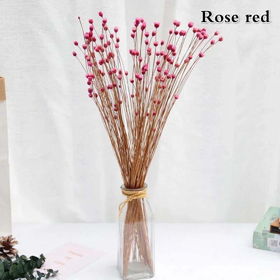 50 Bouquets of Brazilian Lucky Flowers Preserved Flowers Natural Real Small Dried Flowers Bouquets