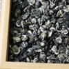 2026 New Spring High Mountain Green Tea, Pre-Ming Chestnut Aroma Biluochun, Old Yunnan Broad Leaf Variety Loose Tea