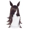 Heat-Resistant Cosplay Wig for Disguise, Includes Net and Comb, Wig, Ears, and Tail (Rice Shower)