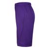 Nike Dri-Fit Ss25 Park Iii Sports Quick-Dry Breathable Shorts Men Shorts Purple IB8681-547
