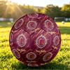 Brisbane Broncos Size 5 Football, Custom Name Text Personalized Soccer Ball Sport Training Gift