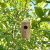 Hummingbird House - 2022 New Wooden Hummingbird House for Outside Hanging, 2/3Pcs Hummingbird Houses for Outside for Nesting (Cherry+Maple)