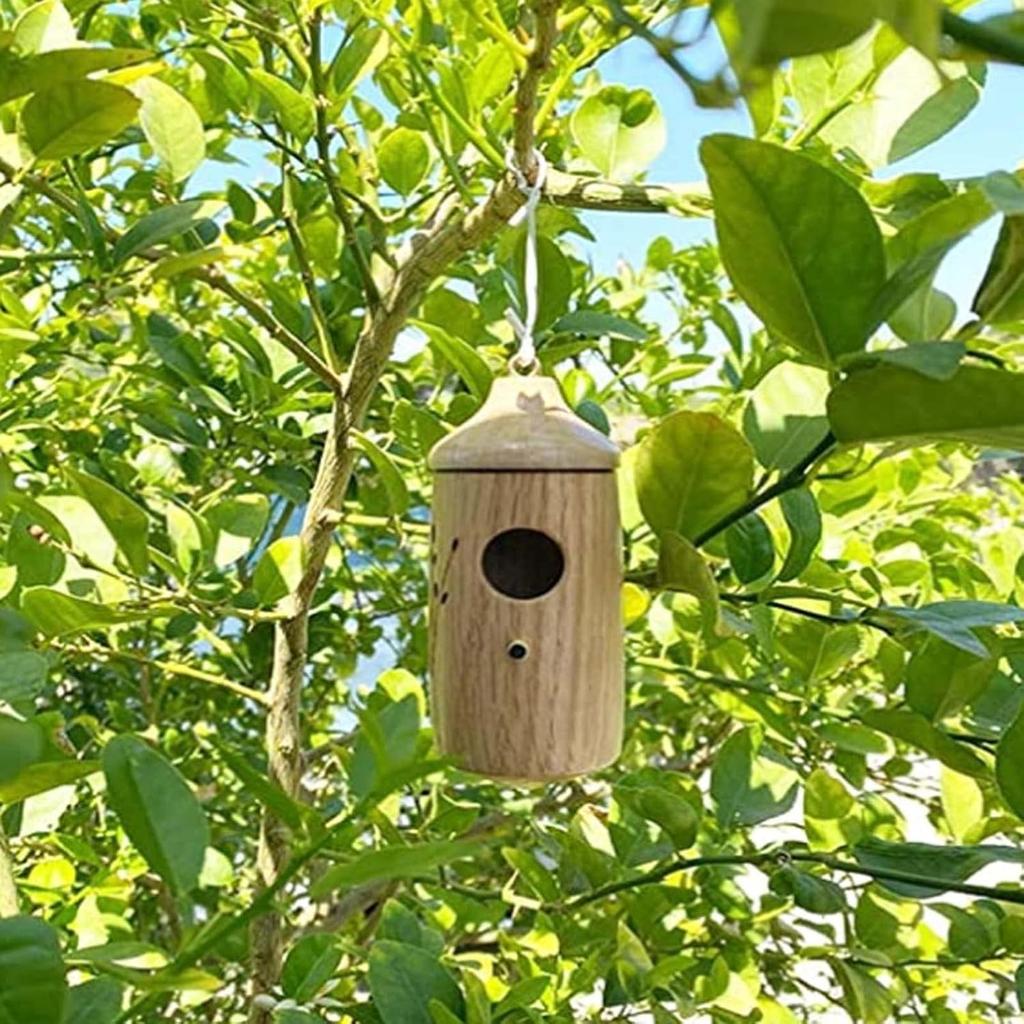 Hummingbird House - 2022 New Wooden Hummingbird House for Outside Hanging, 2/3Pcs Hummingbird Houses for Outside for Nesting (Cherry+Maple)