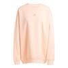 Originals Essentials Solid Logo Comfortable Warm Fleece Sweatshirt Women Sweatshirt Nude JD1534