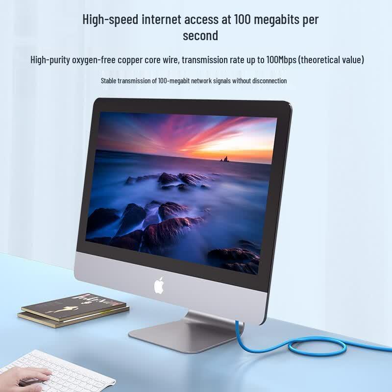 Shengwei Cat5e Ethernet Network Cable
