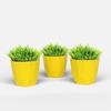 Boliginnredning – Dekorative blomsterpotter