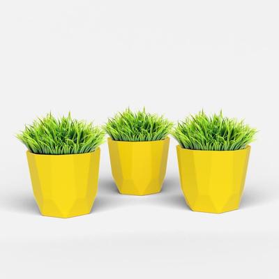 Hexa 4 Inch Pack of 3 Piece Plastic Plant Pot for Home Decor Indoor Plant Pots for Living Room Plastic Flower Pot for Garden (Yellow)