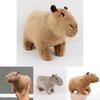 Capybara Plüschtier Weiches Und Niedliches Stofftier Für Kinder Und Erwachsene