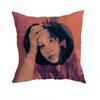 Fiona Apple Pillow Case Antidustmite Pillowcase Invisible Zipper Silky Short Plush Sofa Cushion Cover