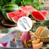 3in1 Watermelon Fork Slicer Cutter Stainless Steel Fruit Watermelon Cutting Fork Slicer Knife Set For Kitchen Fruit Processing