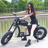 FT-02 20 Inch Electric Bike with Top Quality Bafang Motor