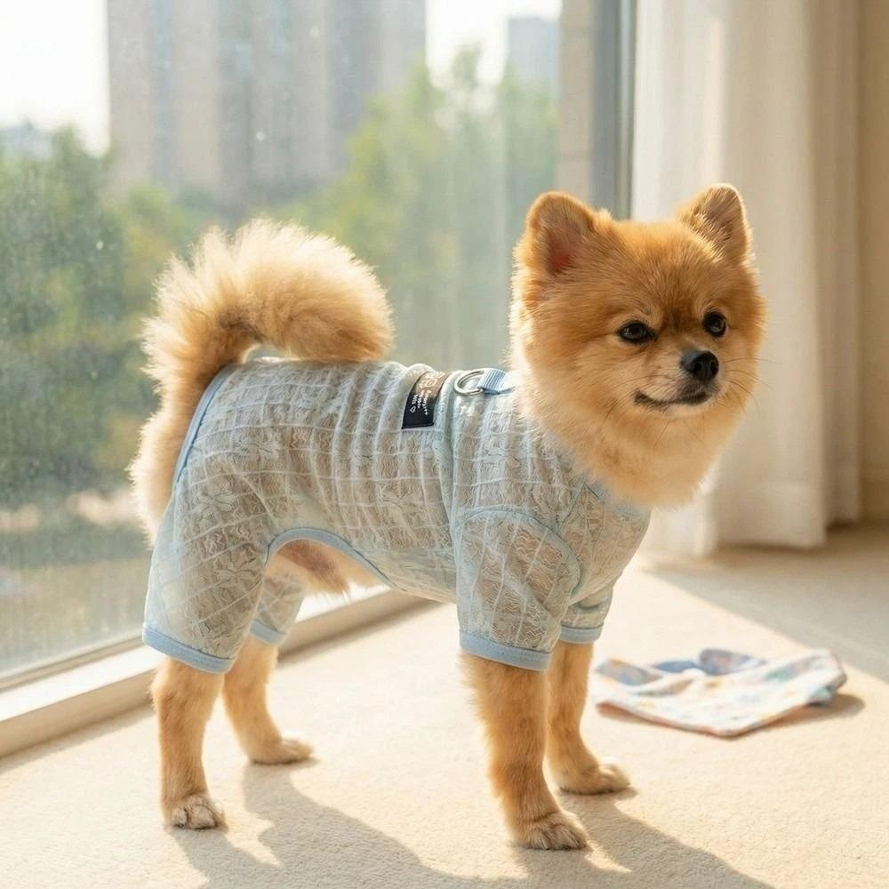 Hollow Mesh Dog Clothes Breathable Dog Outfit Pet Four-legged Wear  Indoor Outdoor Use