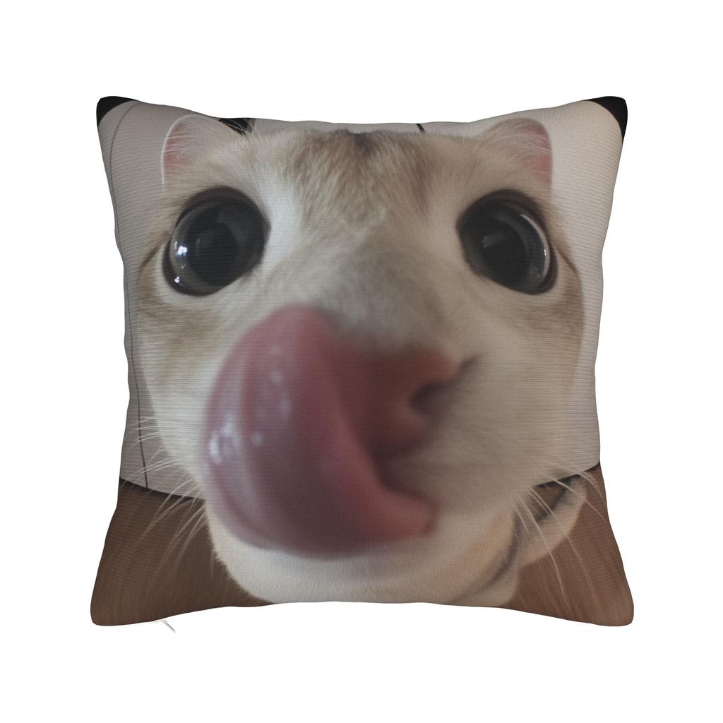 Katzen-Memes Lustiger Meme-Druck Kissenbezug Weicher Kissenbezug für Sofa Auto Heimdekoration Modischer Kissenbezug