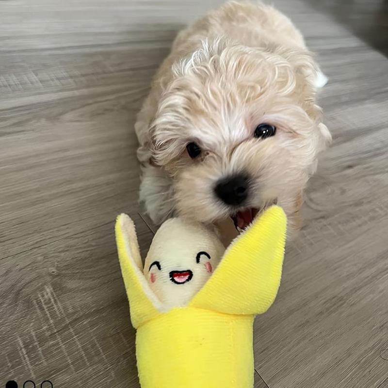 Pet Dog Toys 7-piece Set of Puppy Voice Toys Plush Pet Chewing Plush Fruit Snacks and Vegetables Puppy Toys