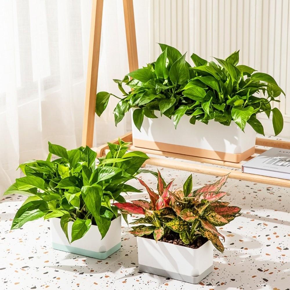 Square Shape Self Watering Plant Pots 2-Layer Design Drainage Hole Flower Planters Plastic Patchwork Lazy Flowerpot Indoor