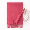 Autumn and Winter New Solid Color Scarf for Women Versatile Neck Scarf Thickened Warm Shawl Simple Tassel