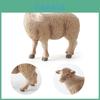 Sheep And Goat Pvc Static Animal Models With Accurate Detailing For Classroom Decor And Collectors