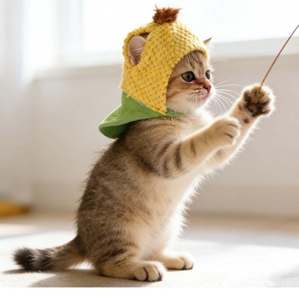 Cute Winter Dog Cap Funny Pet Headgear Pet Supplies Pet Corn Hat  Training
