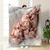 Hairless Kitten Cuddle Blanket Bedroom Blanket for Livingroom Couch Lunch Break Soft Throw for Friend's Festival Gift