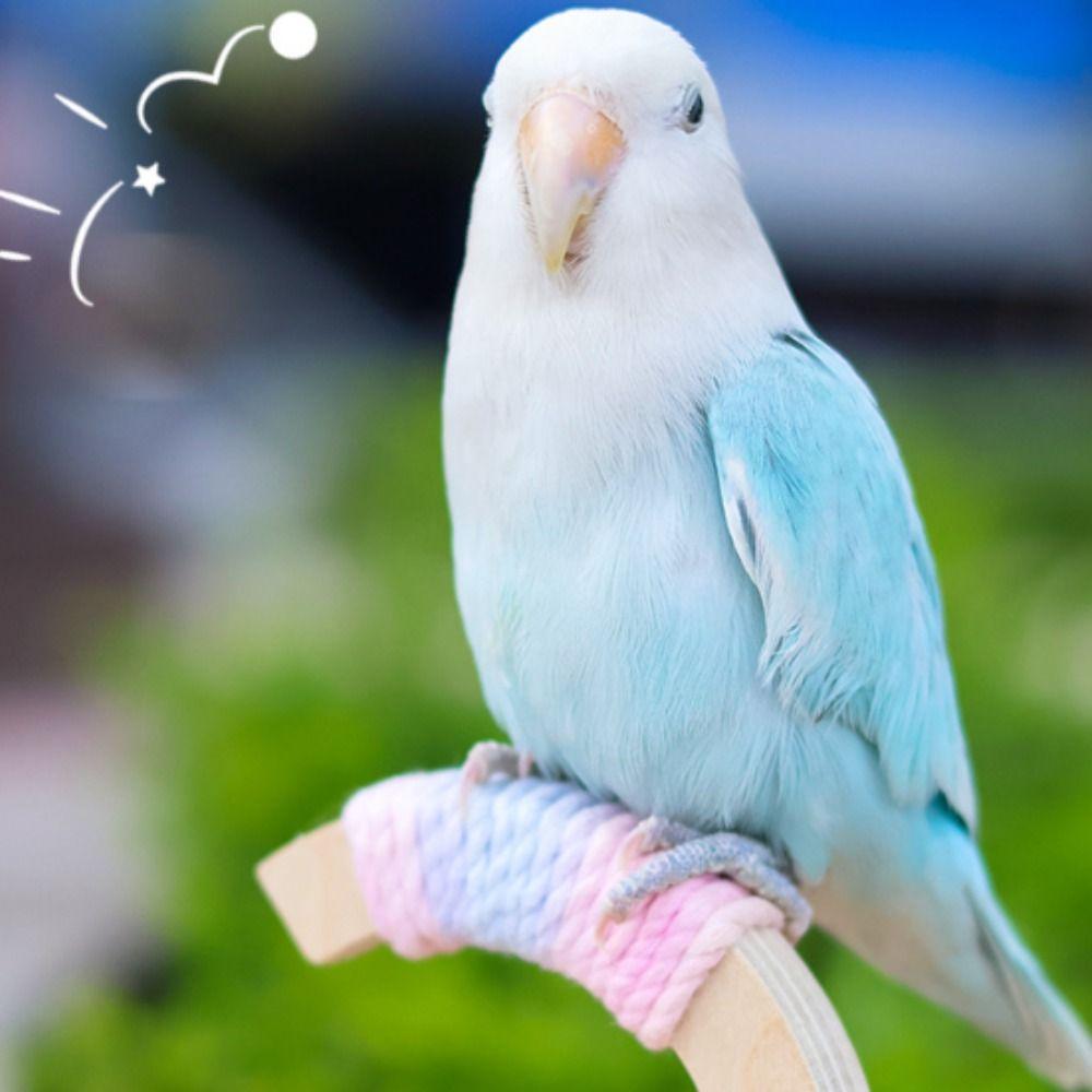 Bite-resistant Parrot Perch Stand Wear-resistant Bird Rocking Stand  Cage Accessory