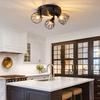 Kitchen Lamp Ceiling Type Three Lights Multi-directional Rotation Black Iron Lampshade For Kitchen Farmhouse Restaurant Porch Corridor Etc