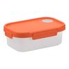 Kamelie Doppelschichtige Unterteilte Lunchbox